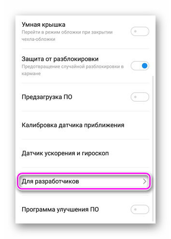 Меню разработчика